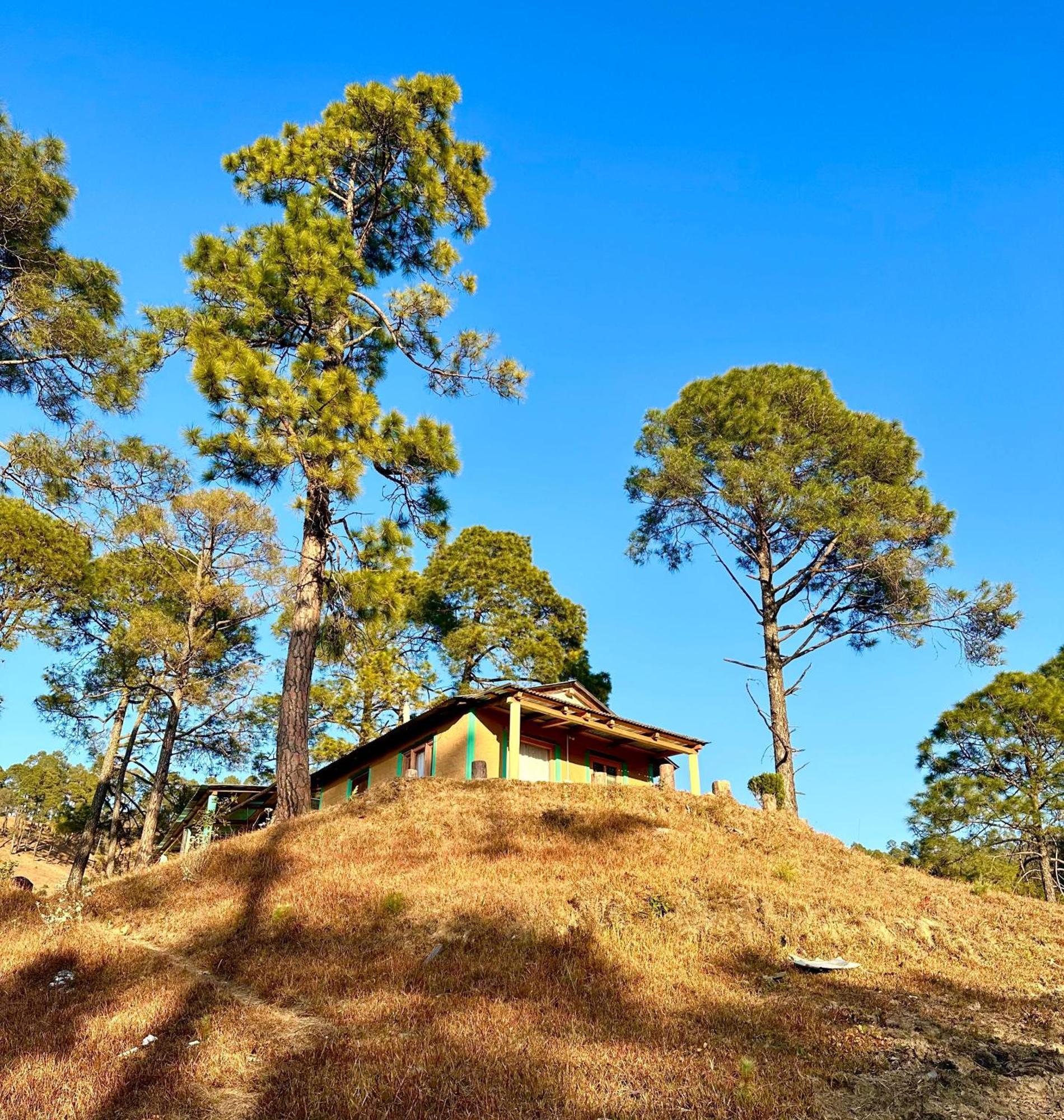 Joshi Cottage Binsar Extérieur photo
